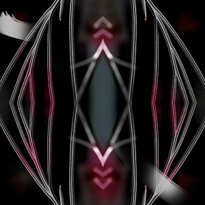 https://www.alainpierot.com:443/files/gimgs/th-13_tige 2web.jpg